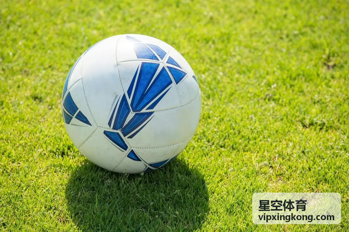粉丝社区互动